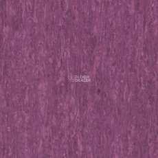Tarkett iq Optima Purple 0255 фото 1 | FLOORDEALER
